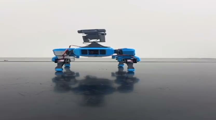 Robot demo video